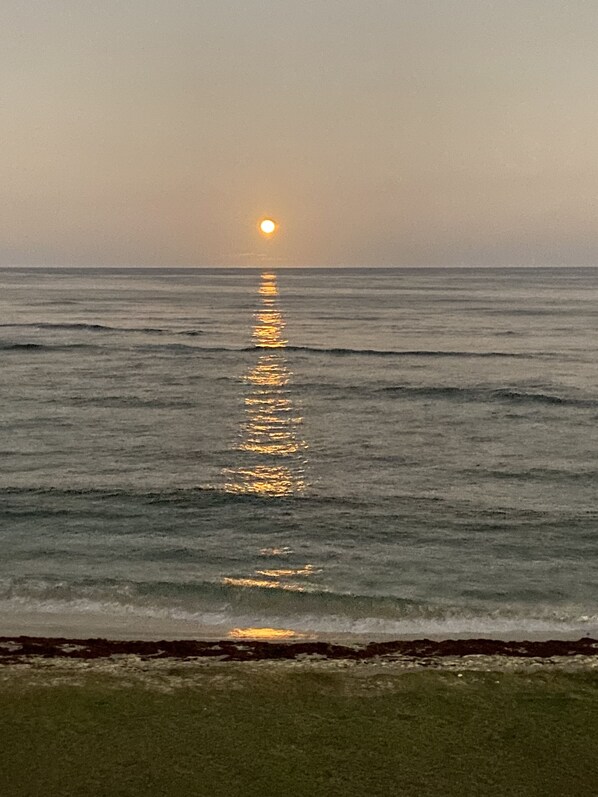 On the beach - Beautiful waterfront 3 bedroom condo with beach and pool amenities  (Oyster Pond)