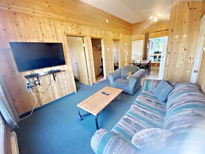 TV, fireplace, DVD player