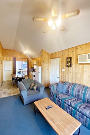 TV, fireplace, DVD player