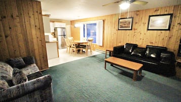 TV, fireplace, DVD player