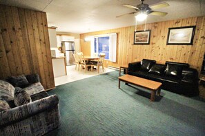 TV, fireplace, DVD player