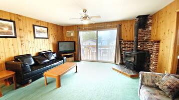 TV, lareira, DVD player