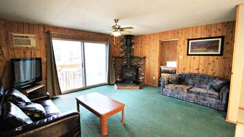 TV, fireplace, DVD player