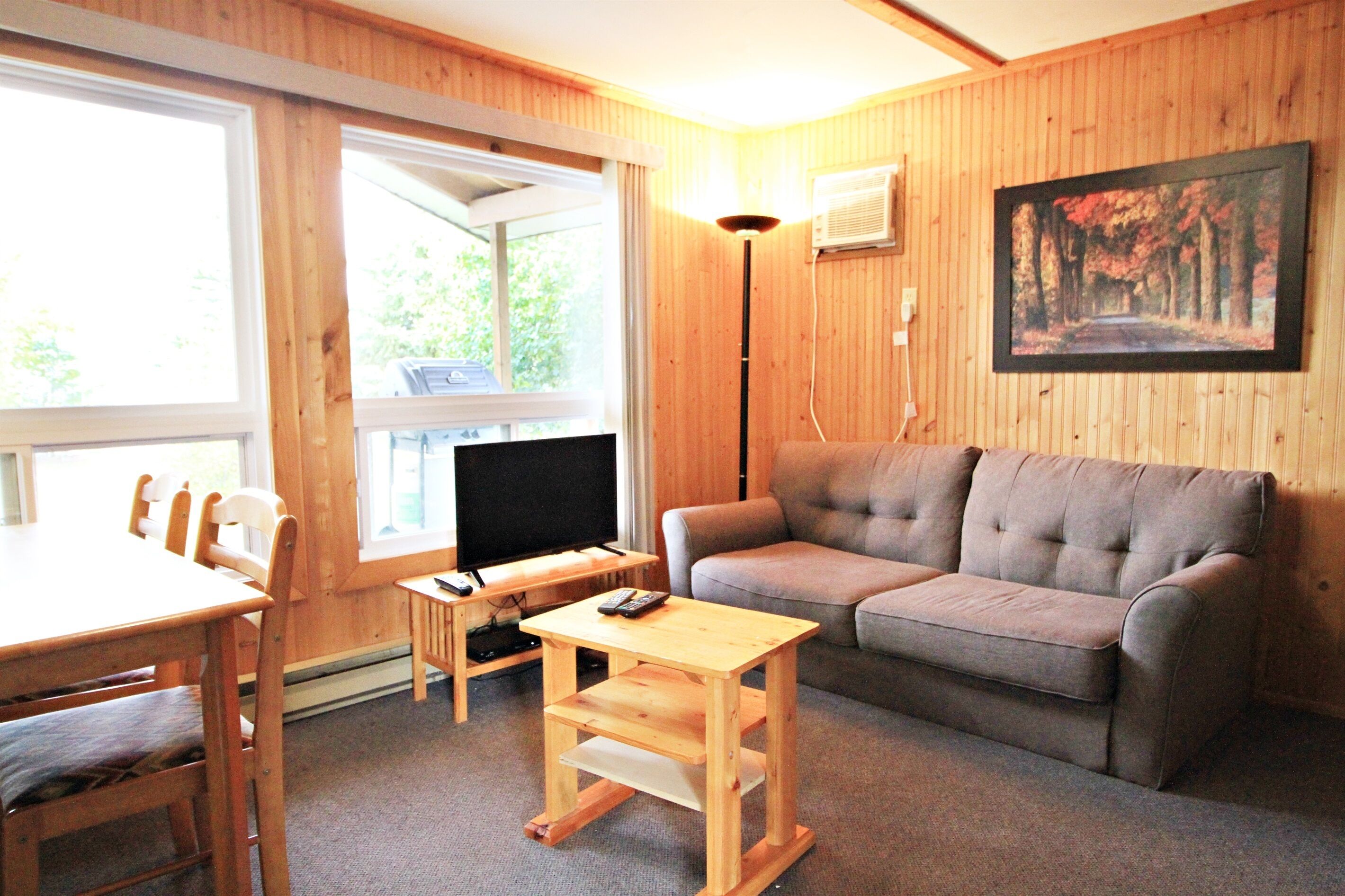 电视、壁炉、DVD 播放器