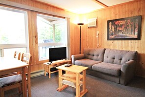 TV, fireplace, DVD player