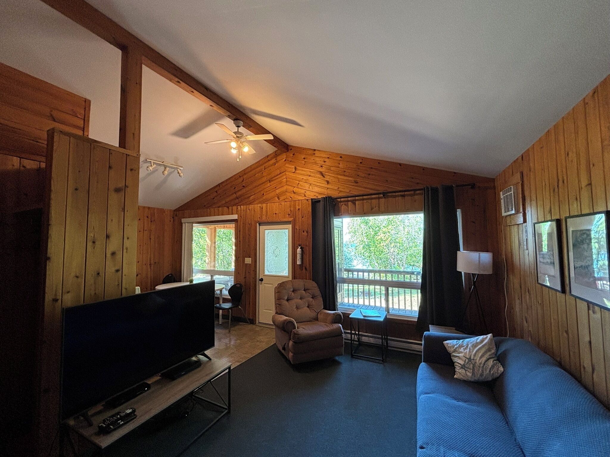 电视、DVD 播放器