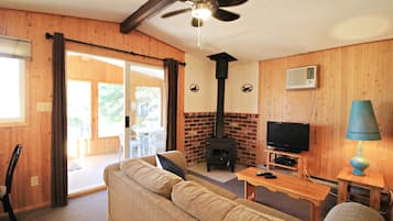 Televisión, chimenea y reproductor de DVD