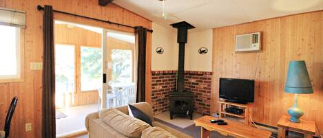 Fernseher, Kamin, DVD-Player