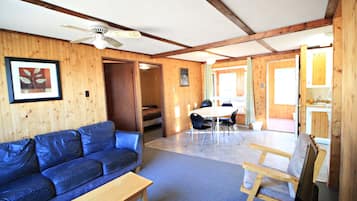 Fernseher, Kamin