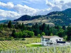 A house with a large porch, surrounded by a vineyard and hills in the background. - Oliver Oasis, Cab Franc: swim spa and 5 bdrm in the heart of wine country! (Osoyoos)