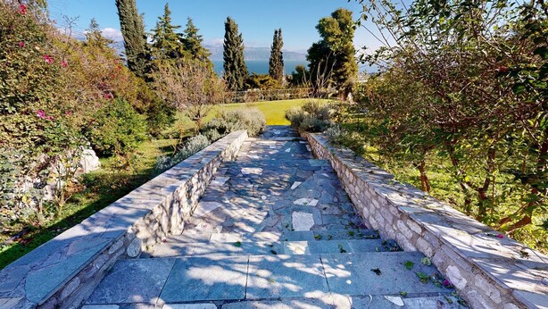 Un sendero de piedra que atraviesa un jardín con diversas plantas y árboles.