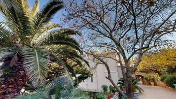 2 habitaciones y escritorio