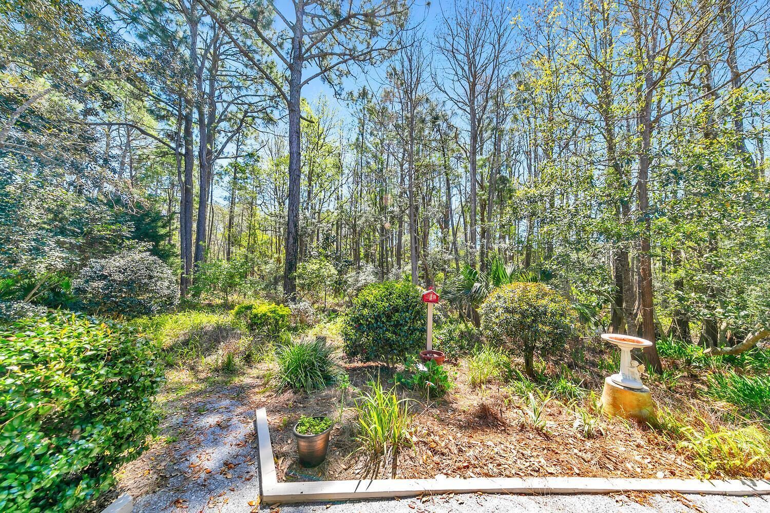 A forested area with a pathway, a birdbath, and a red sign.