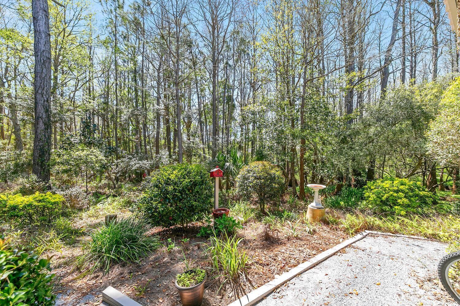 A forested area with a gravel path, a birdhouse, and a birdbath.