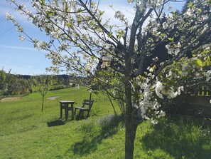 Outdoor dining - Idyllisch - Fewo am Attersee/salzkammergut: ein Romantischer Zufluchtsort (Nußdorf am Attersee)