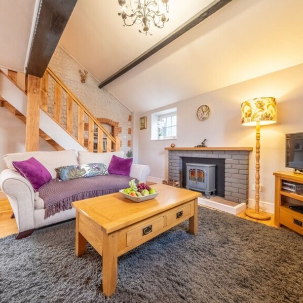 Smart TV, fireplace, DVD player, books