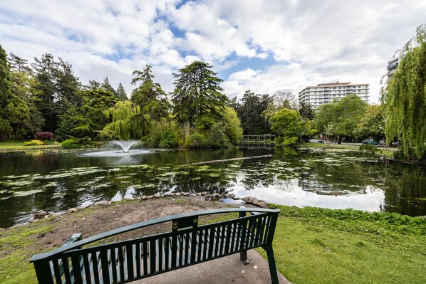 A park with a pond, a bench, and a fountain.