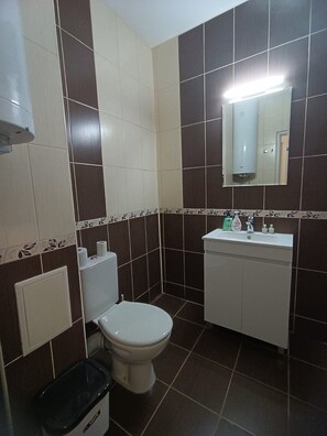 Ducha, secador de pelo, toallas