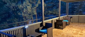 Green Sparrow's Nest