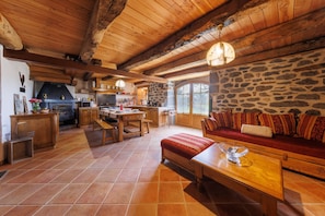 TV, fireplace, DVD player - L'Anglardoise - Maison pour 7 voyageurs (Anglards-de-Salers)