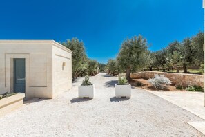 Property grounds - Trulli Ulivo di Puglia by BarbarHouse (Fasano)