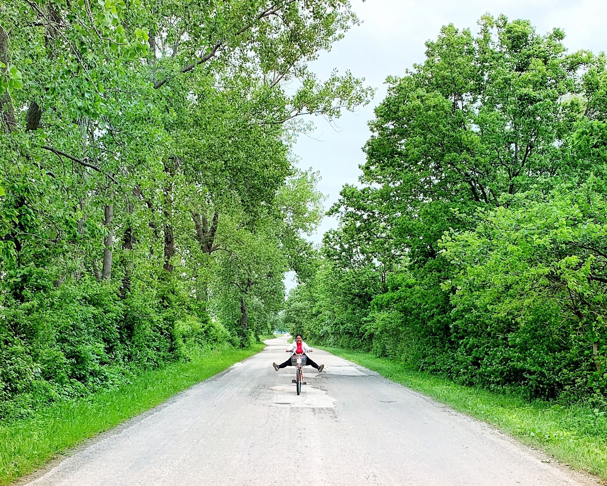 A road flanked by dense green foliage on both sides.