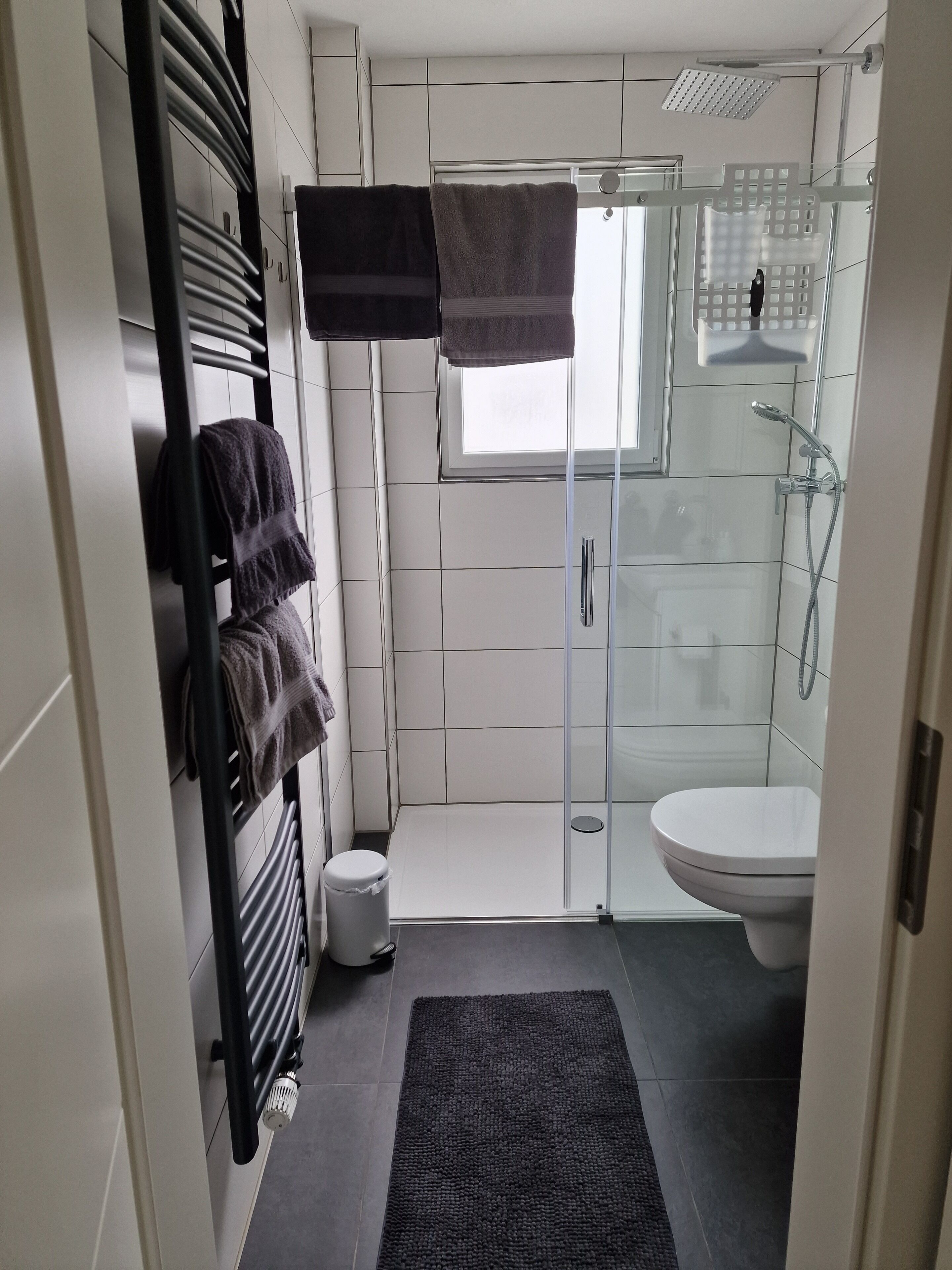 Dusche, Haartrockner, Handtücher, Seife