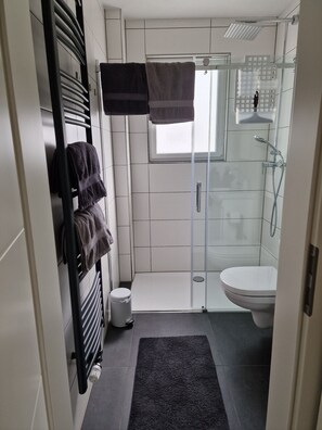 Dusche, Haartrockner, Handtücher, Seife