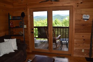 Televisión y chimenea 