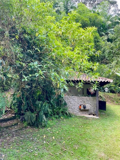 Sítio na Mata Atlântica