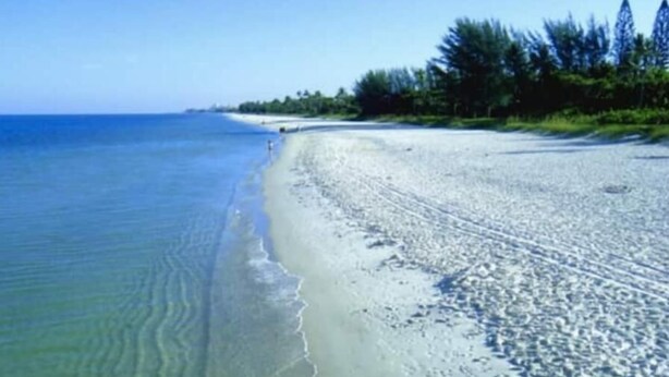 Ein Strand mit klarem Wasser, einem Sandufer und einer Baumreihe im Hintergrund.