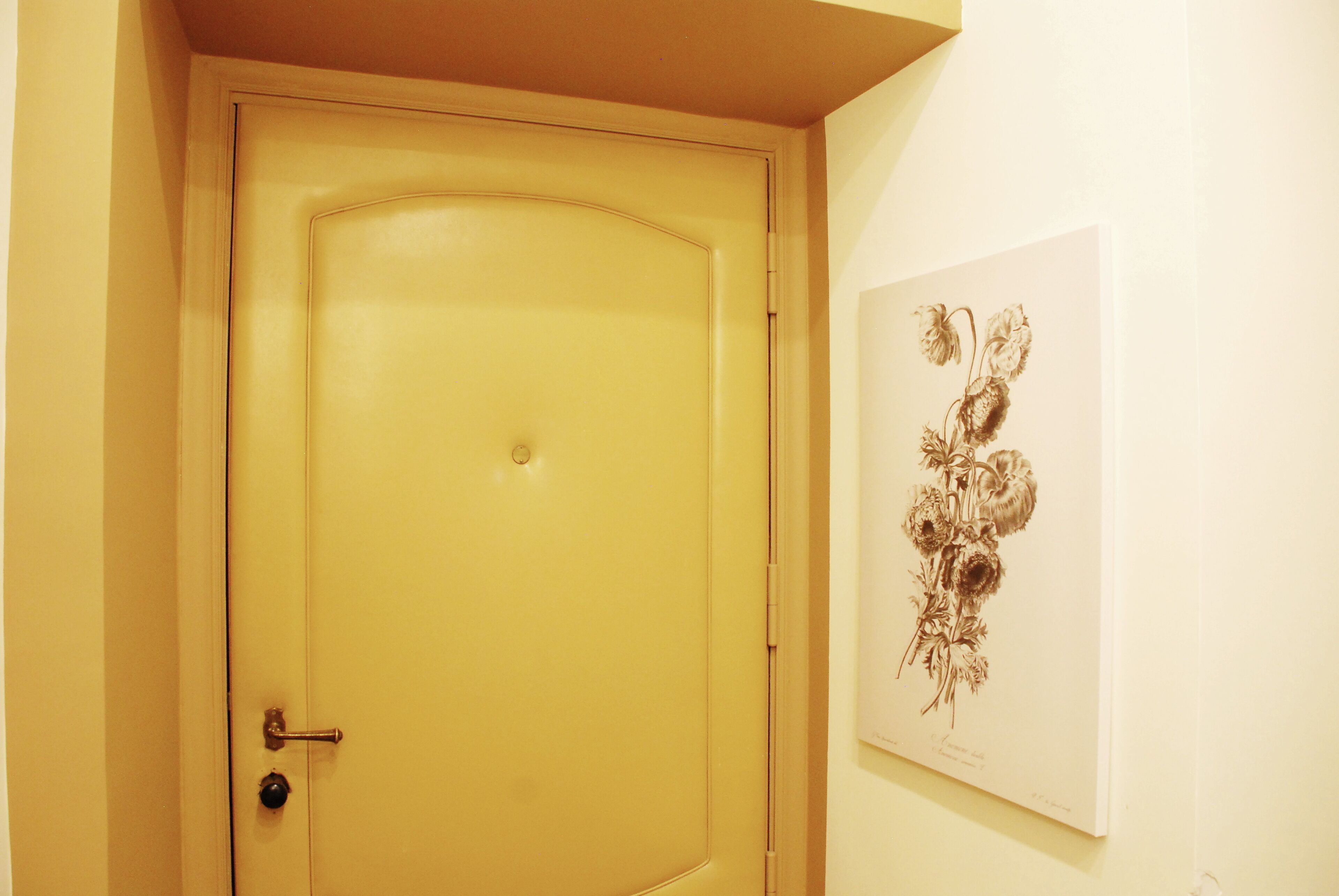 A yellow door with a brass handle and a keyhole, and a framed botanical illustration on the wall.