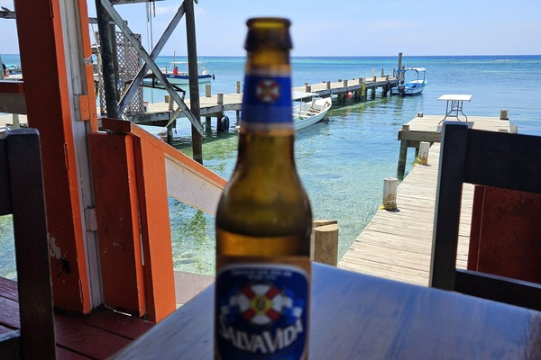 Àrea exterior de l'allotjament