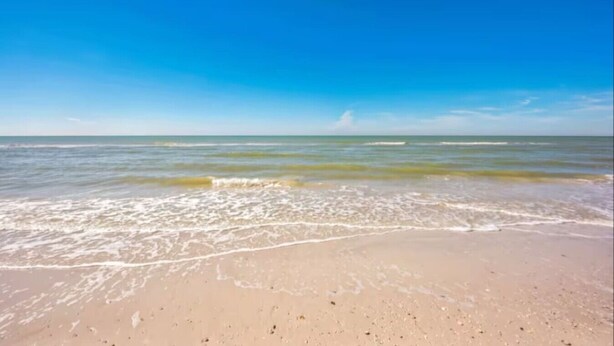 Une plage avec un ciel dégagé et une mer calme.