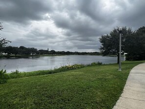 Miscellaneous - Studio Apt Near Down Town! (St. Petersburg)