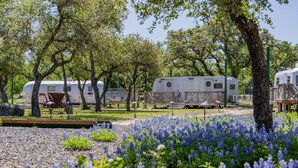 Un camping con vehículos recreativos, mesas de picnic y un campo de flores azules.