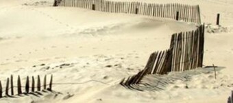 Berck sur Mer Appartement à 50m de la Plage!