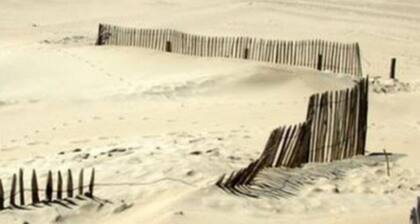 Berck sur Mer Appartement à 50m de la Plage!