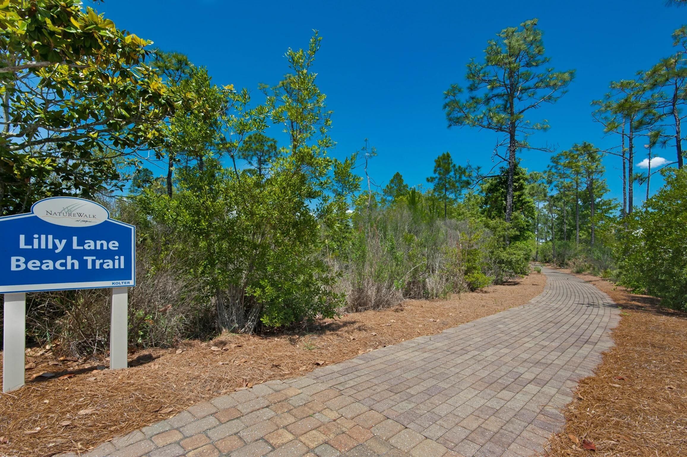 A sign for the Lilly Lane Beach Trail with a paved path and surrounding greenery.