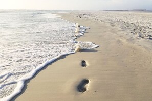 Camastros y toallas de playa 