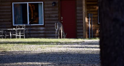Bunkhouse at Coal Creek Mountain Lodge