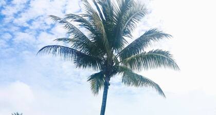 Beachfront glamping experience at La Isla Bonita: Portete Island