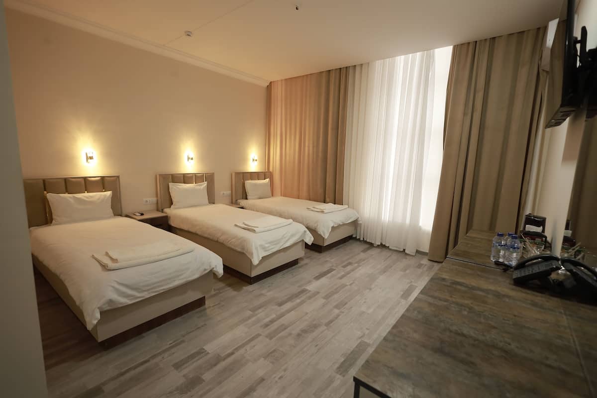 Standard Triple Room, City View