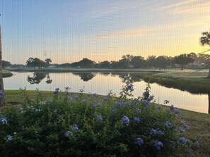 2 bedrooms, iron/ironing board, WiFi, bed sheets - Awesome first-floor Palm Aire condo close to University Town Center! (Sarasota)