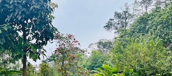 Bio-Hotel Bhakti,
Coffee rural cabin with view of the mountains and the forest
