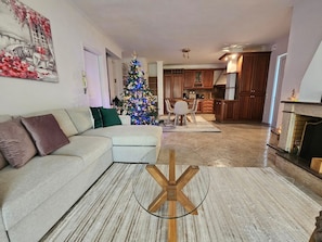 Apartment, 1 Bedroom, Smoking, Fireplace | Living area