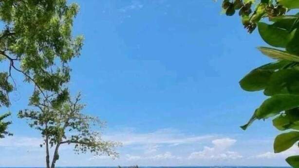 A beach scene with a wooden fence, clear blue sky, and calm sea. - Luxury 1BR 55sqm 1 Pacific MactanNewtown (Lapu-Lapu)