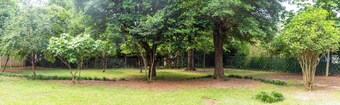 The Hickory Haven - A 3-Bedroom Gem Near Universities & Capital!