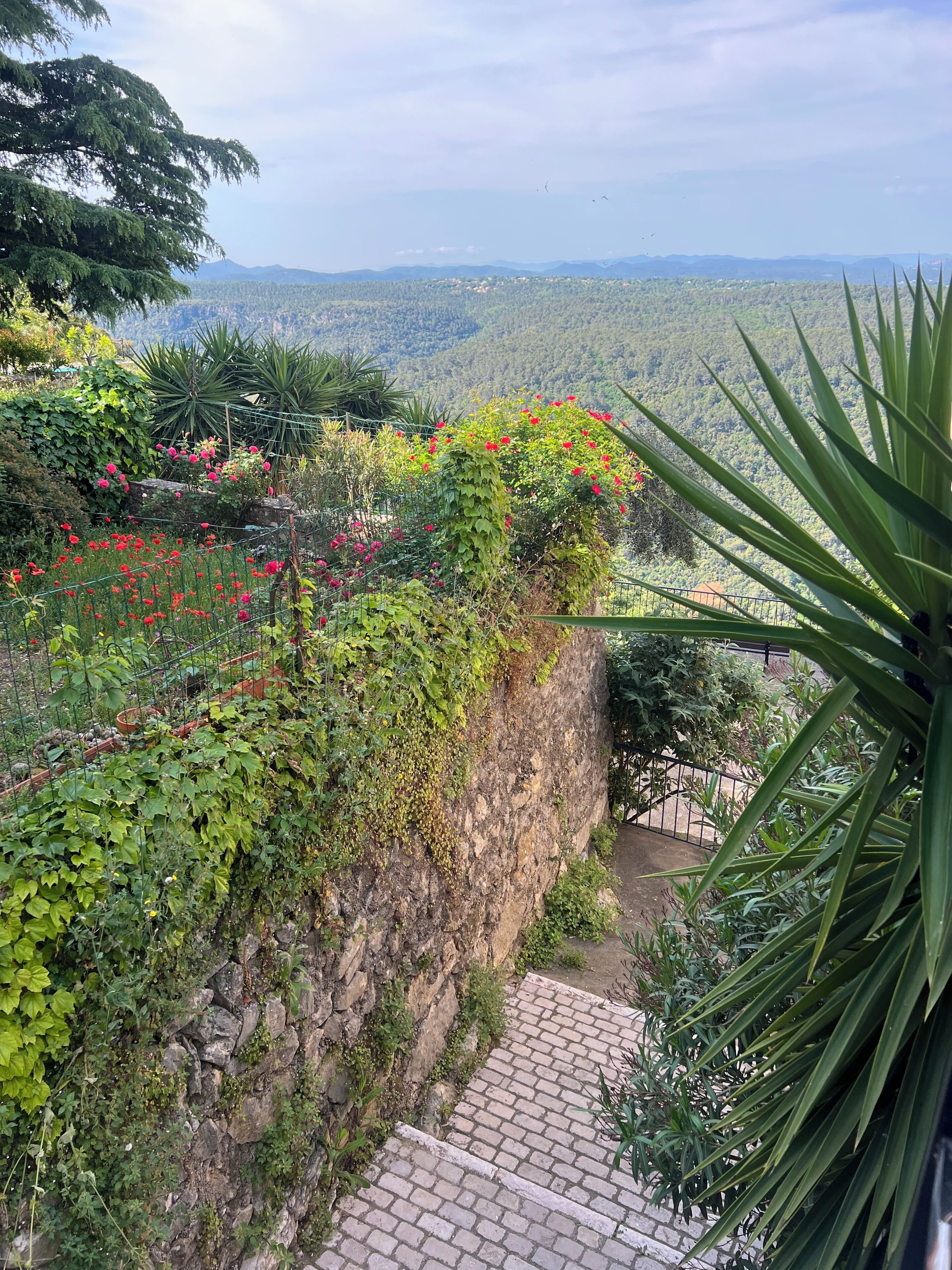 A stone wall with a brick pathway leading to a lush garden with various plants and flowers.