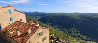Le Figuier de Saint-Cé - Small garden - Terrace - View